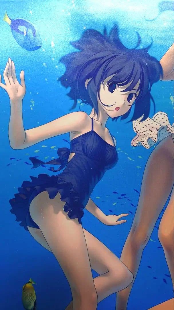 魔法使いの夜 特大B0タペストリー 通販限定 蒼崎青子 久遠寺有珠 久万