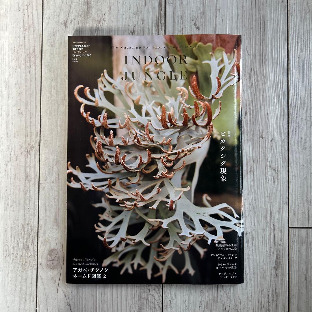 INDOOR JUNGLE インドアジャングル 2 ビカクシダ特集 - メルカリ
