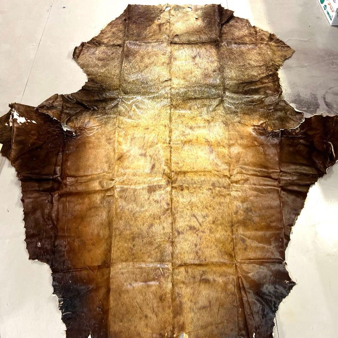 超特大トド毛皮敷物 レザー皮革 海馬 北欧 ファーラグマット チェア