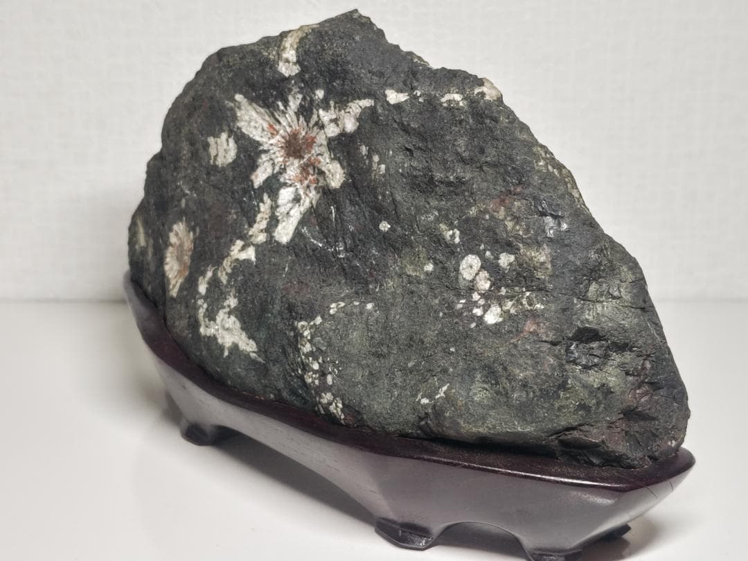 菊花石 2.3kg 紋石 花紋石 原石 鑑賞石 自然石 誕生石 鉱物 鉱石 水石