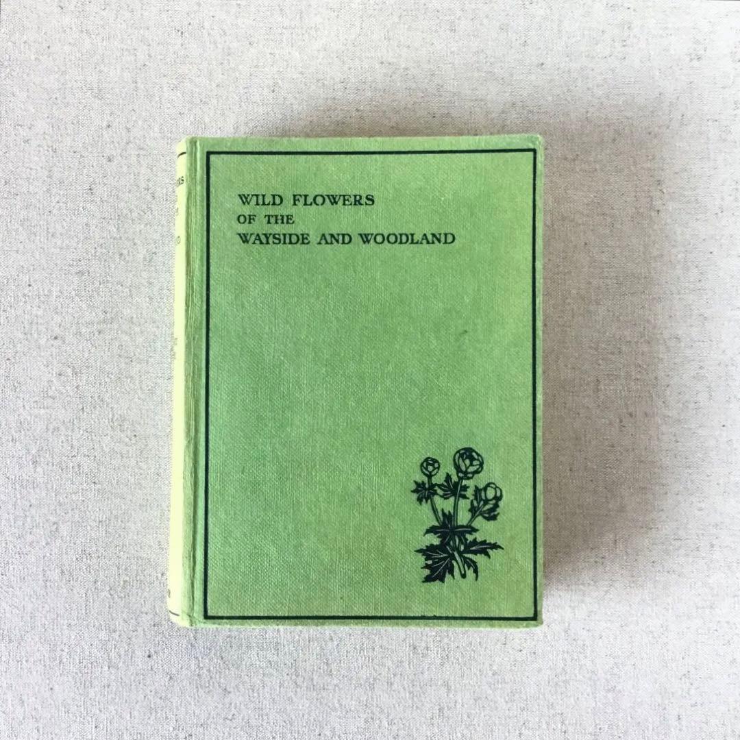 植物図鑑 古書 アンティーク洋書 Wild Flowers ボタニカル - メルカリ