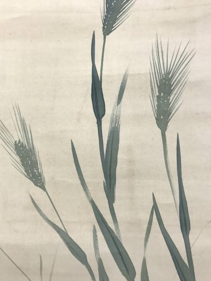 真作/小林呉橋/青麦に雲雀図/ヒバリ図/花鳥図/掛軸/名家伝来AE-386