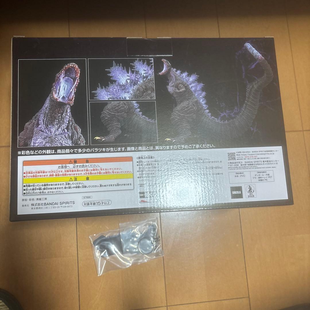 一番くじ ゴジラ怪獣乱舞荒ぶるモノ B賞 ゴジラ （2016）おまけH賞