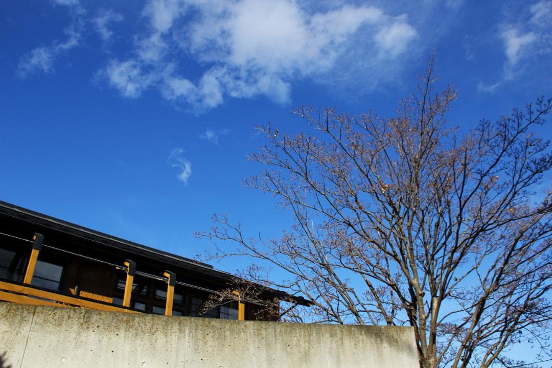 カ*ズ様 TAMRON 18-270mm F/3.5-6.3 Di II VC