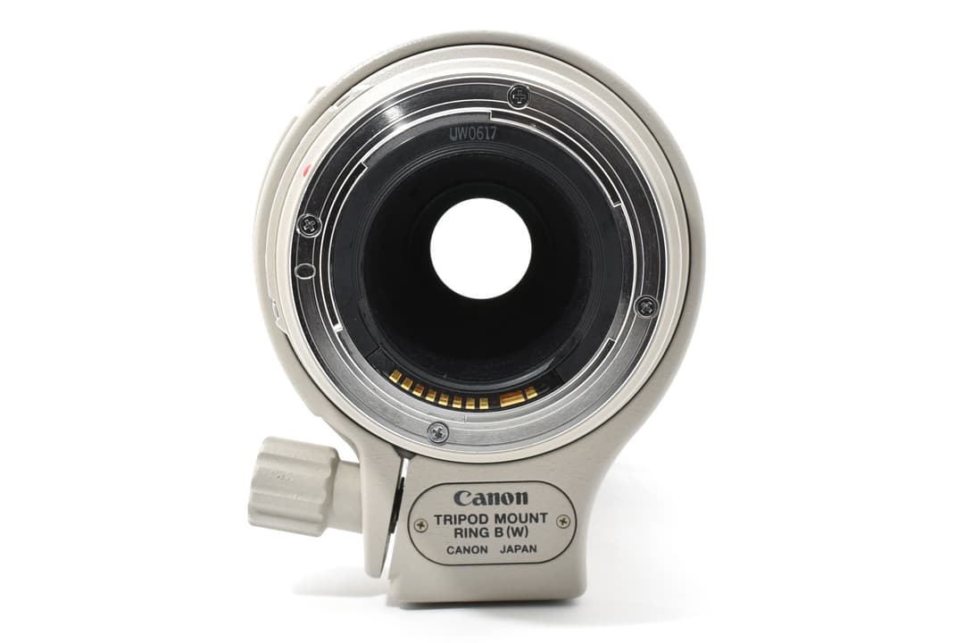 レンズ(ズーム) Canon EF 100-400mm F4.5-5.6 L IS #9361