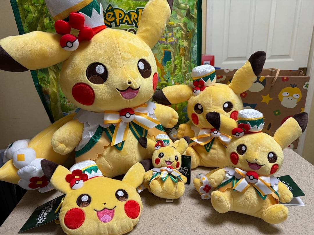 ポケパーク カントー ショップ 限定 ピカチュウ イーブイ ぬいぐるみ 7