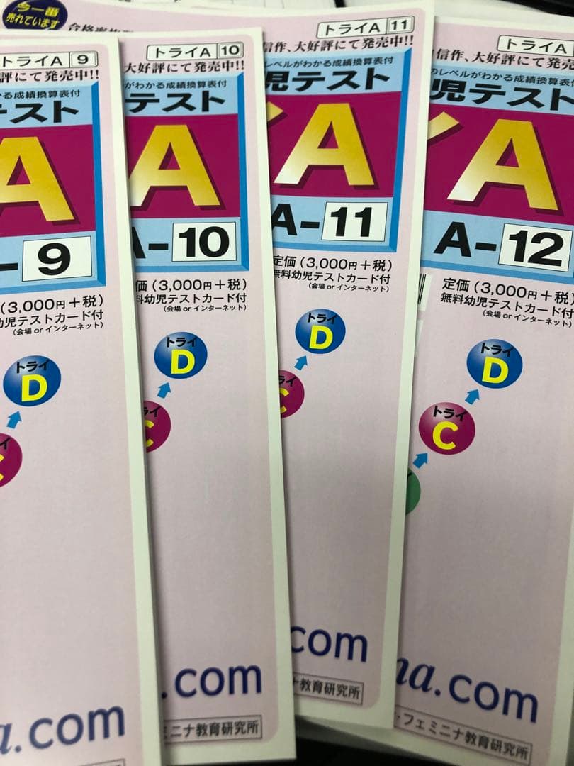 カーサ・フェミニナ 小学校受験 幼児テスト トライA 1〜12 書き込み/解答無