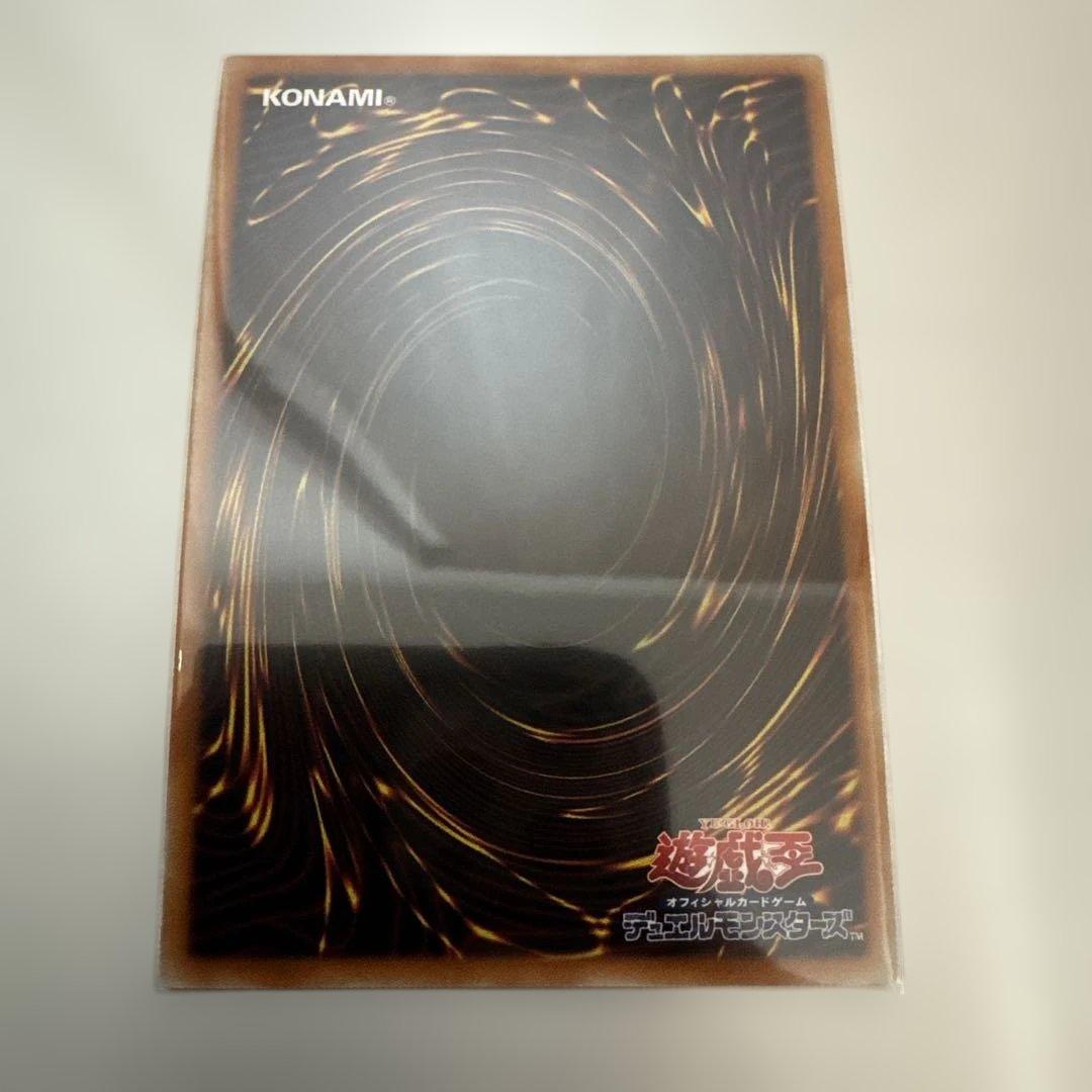 烙印竜アルビオン プリシク - メルカリ