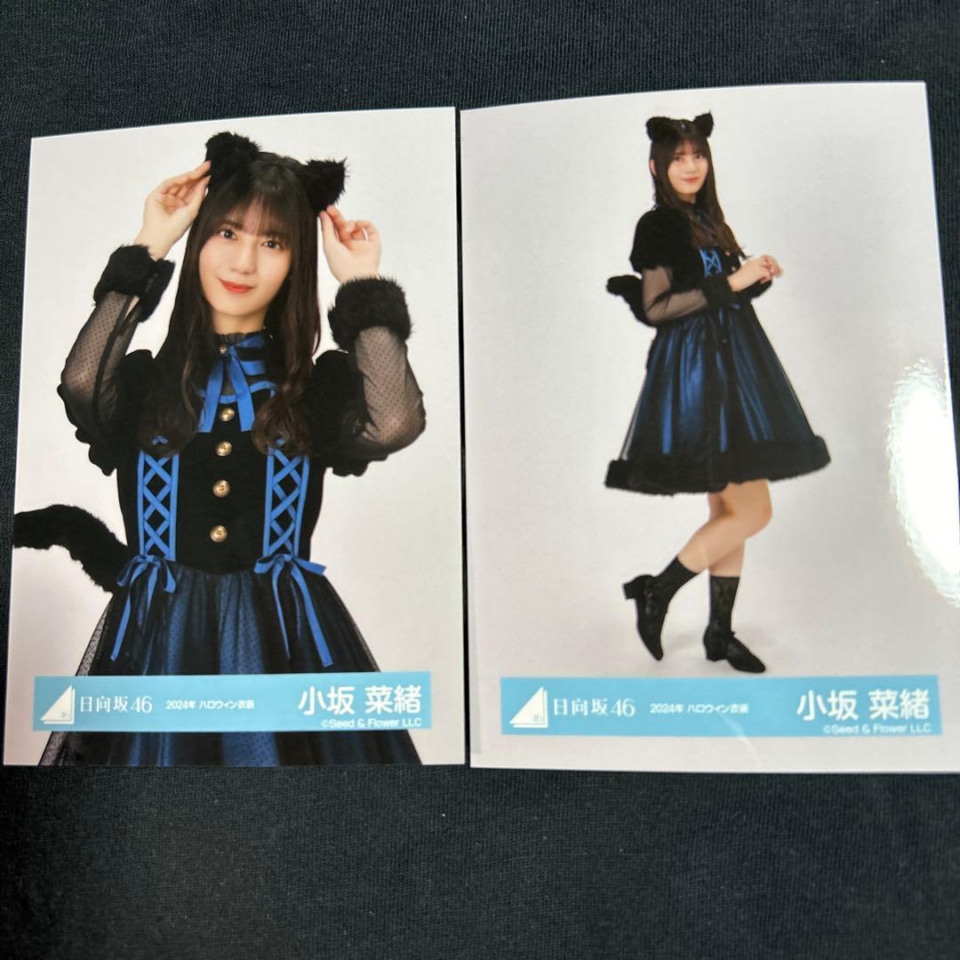 小坂菜緒 日向坂46 生写真 2024年 ハロウィン衣装 b - メルカリ