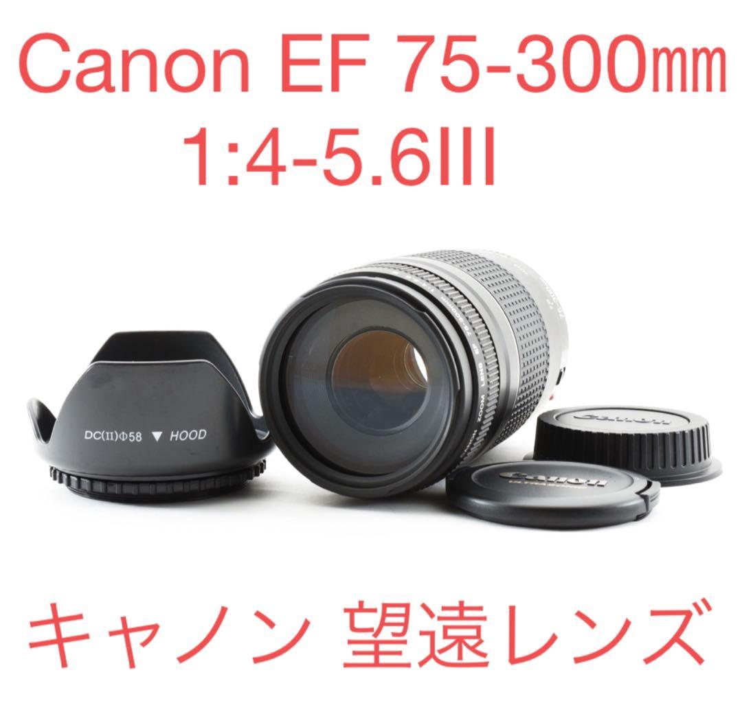 超望遠 300㎜/フルサイズ対応/Canon EF 75-300㎜ Amazon.com : Canon EF 75-300mm f/4-5.6 III Telephoto Zoom Lens for