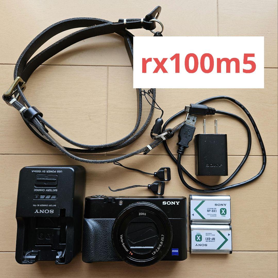 SONY rx100m5 おまけ付き RX100m5（m5a）レビュー・作例｜高画質とAF性能の両立が光るコンデジ
