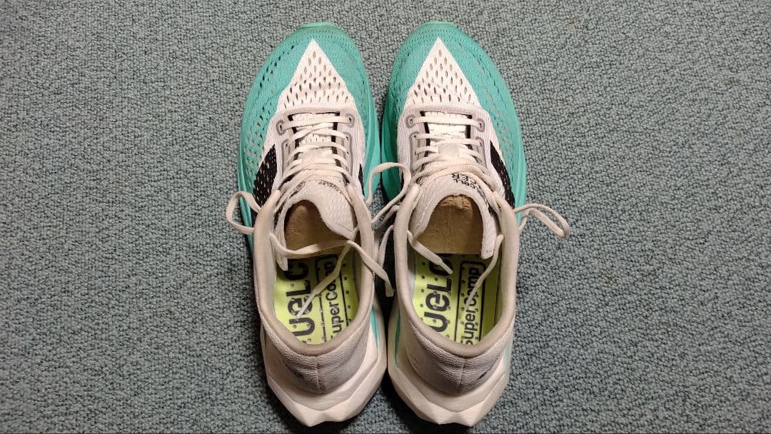 NB FUELCELL PACER V2　27.0cm / D