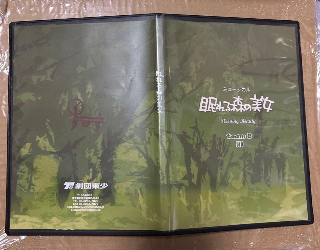 【DVD】 劇団東少公演　ミュージカル 眠れる森の美女 teamB 2025年 夏休みファミリー劇場 劇団東少公演 ミュージカル『眠れる森の