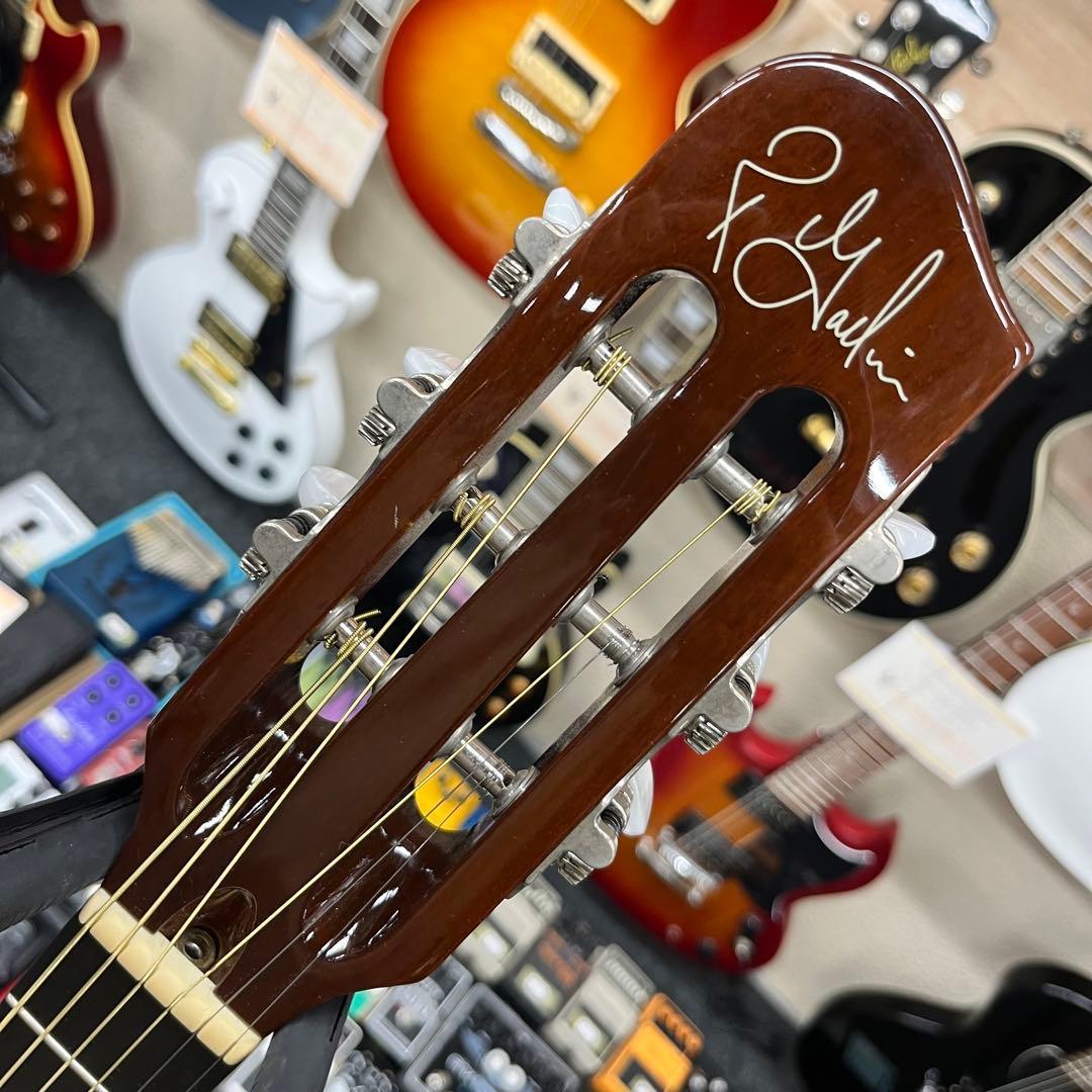 11134】Godin Multiac Steel Duet Ambiance - メルカリ