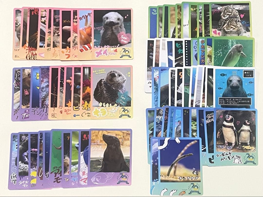 コンプセット】鳥羽水族館 TOBA AQUARIUMコレクションカード 72枚