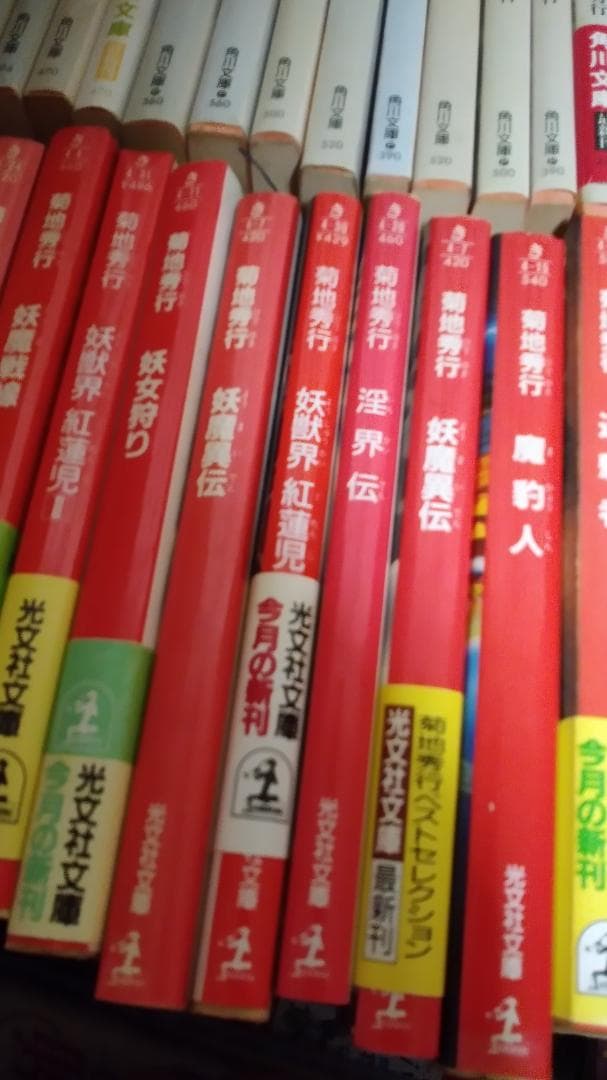 期間限定お値下げ！早い者勝ち！　菊池秀行さん　１１４冊セット
