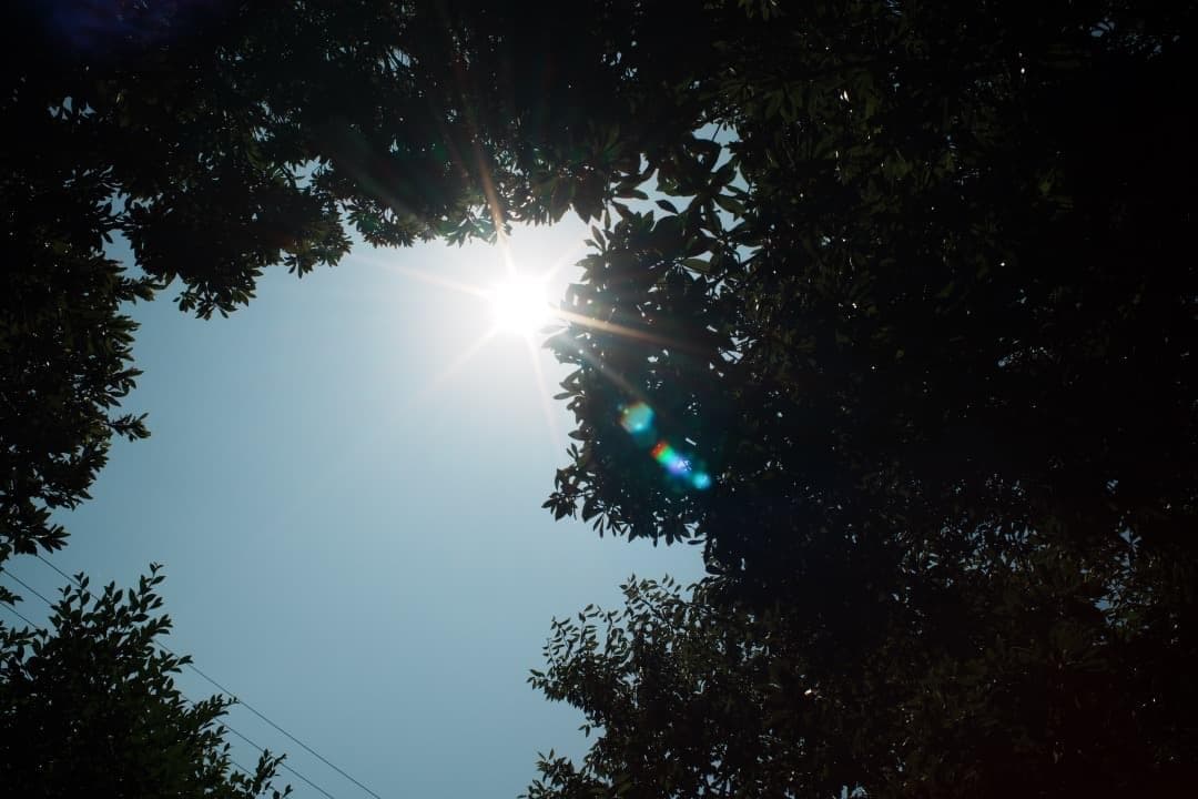 Rikenon P 28mm F2.8｜自然な色とやわらかい描写 713 新品