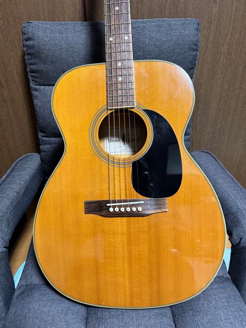 初心者の方必見‼️小振りなwood land‼️調整済み‼️弾き易くセッティング