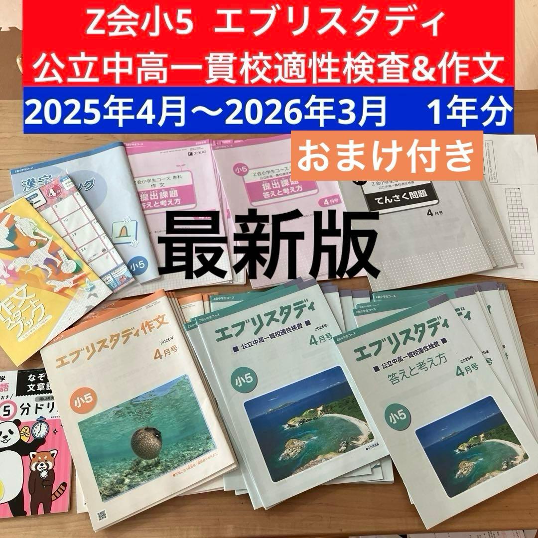 Z会 エブリスタディ 小5 公立中高一貫校適性検査 作文 1年分 問題集