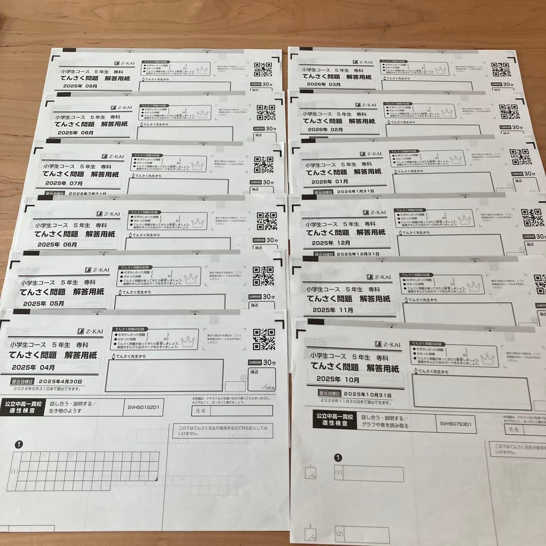 Z会 エブリスタディ 小5 公立中高一貫校適性検査 作文 1年分 問題集