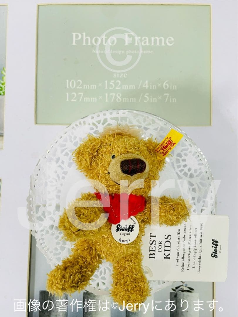 テディベア: シュタイフ 【鼻は総刺繍タイプ】クノップ君の