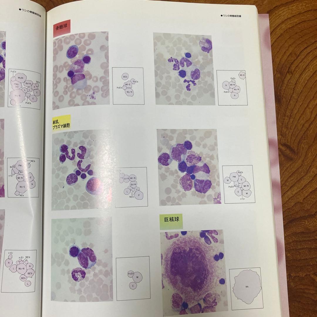 家畜血液図説 チクサン出版