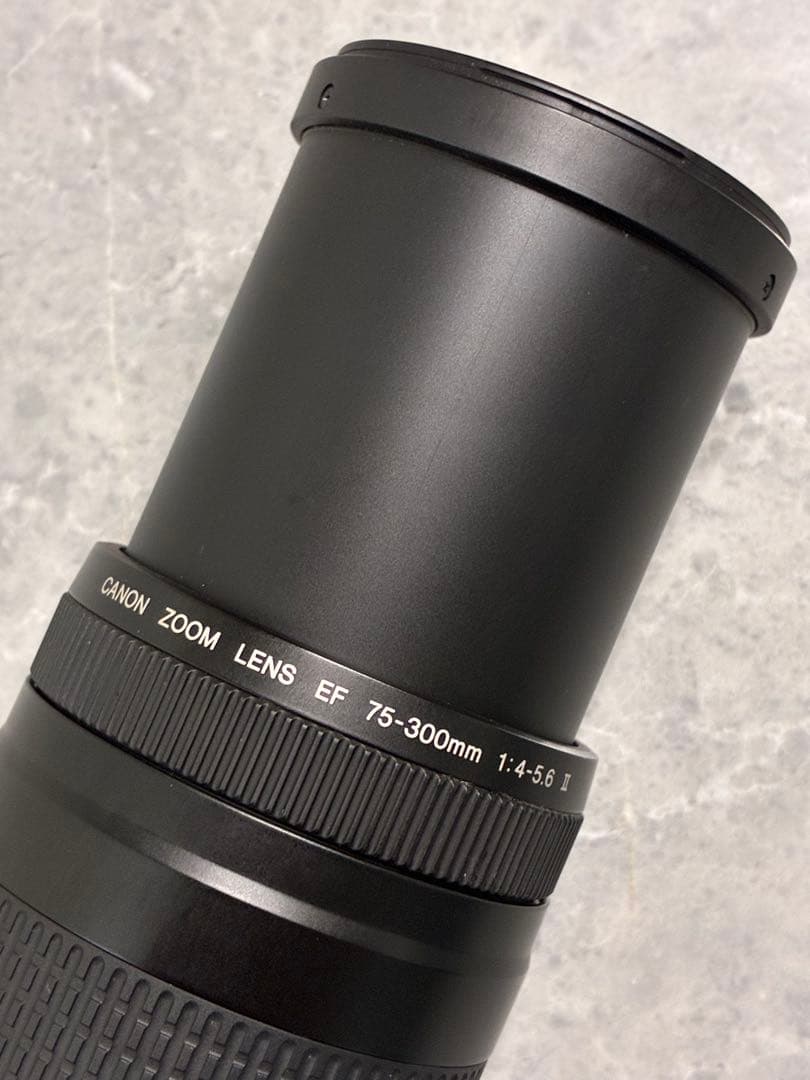 ⭐️美品⭐️キャノン Canon EF 75-300mm F/4-5.6 II 望遠