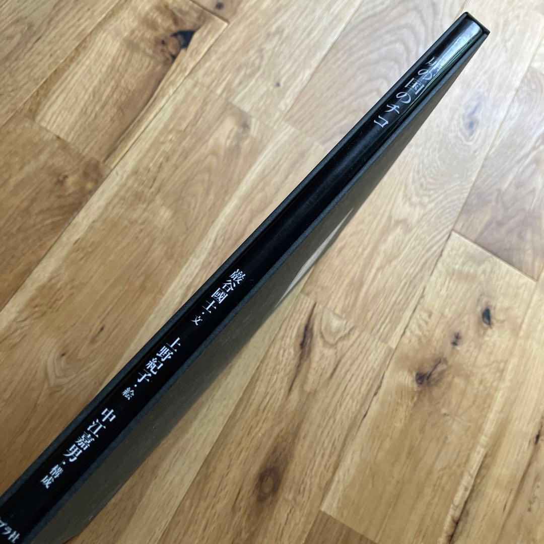 扉の国のチコ 限定 初版 サイン入り 巌谷國士 上野紀子 中江嘉男