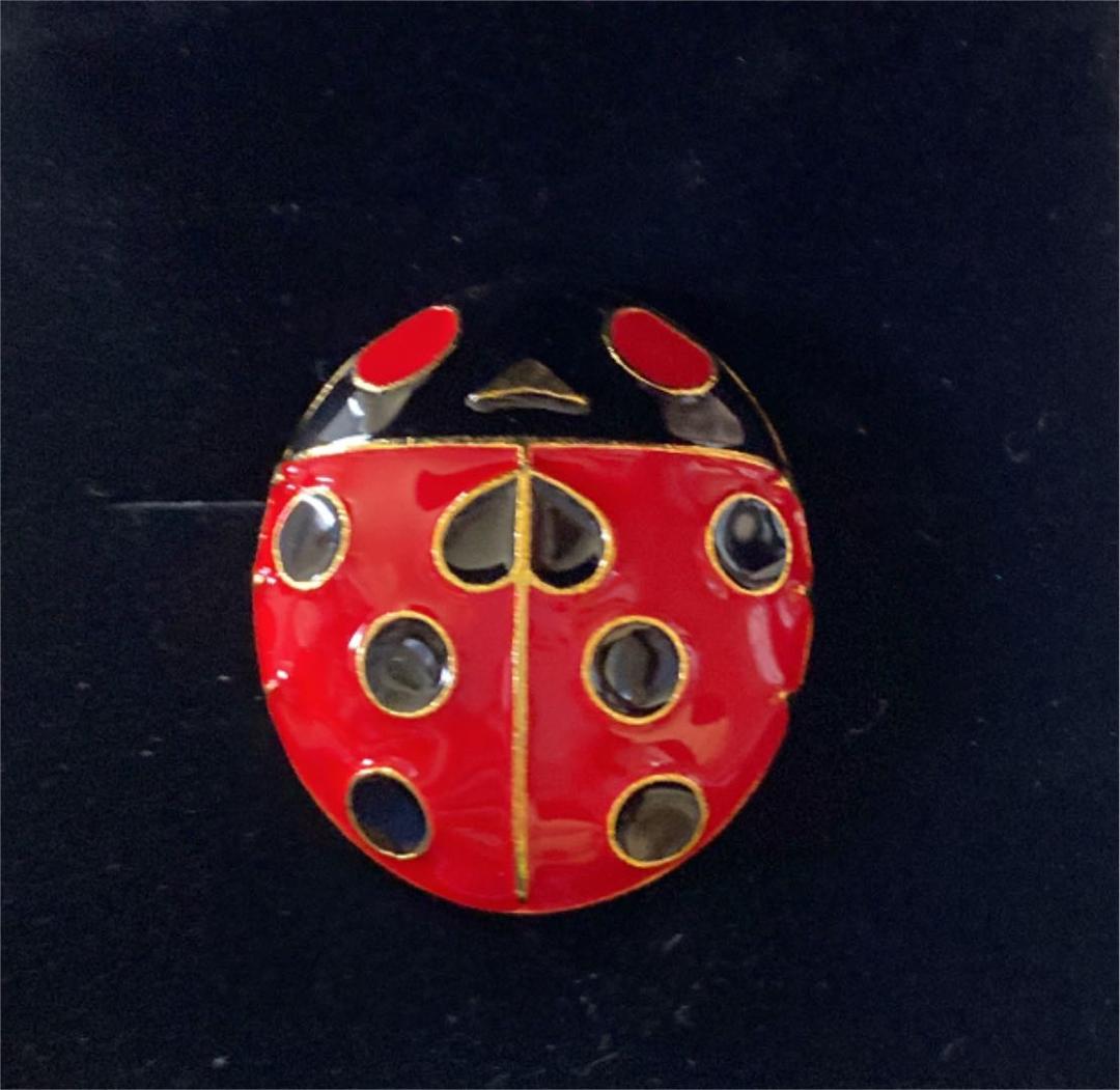 新品未使用】ジョルノ ブローチ てんとう虫 ジョジョ展 - メルカリ