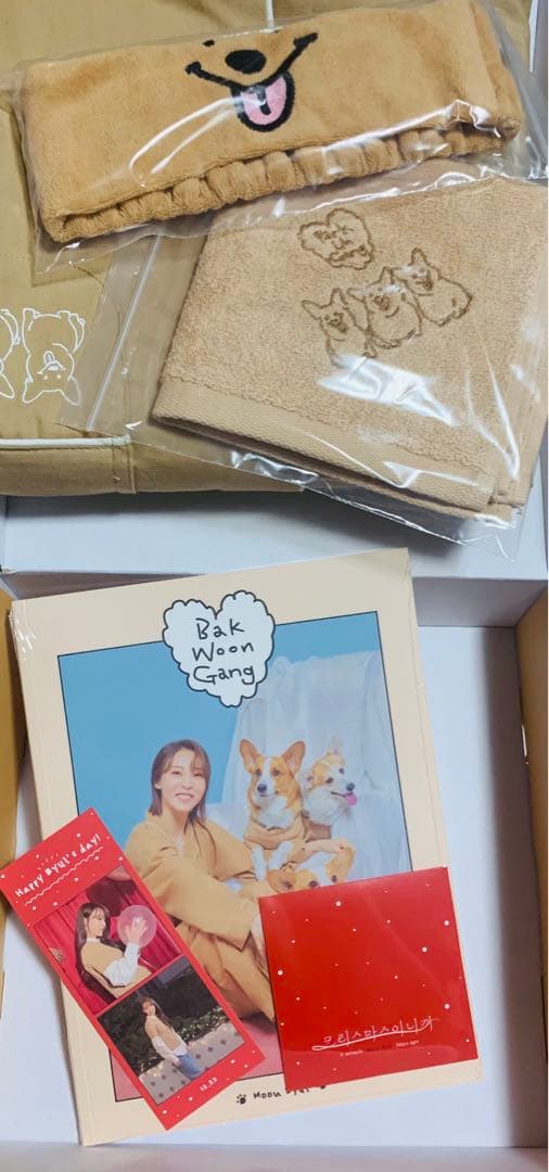 Mamamoo ママム ムンビョル BAK WOON GANG  KIT MAMAMOO – K-mall