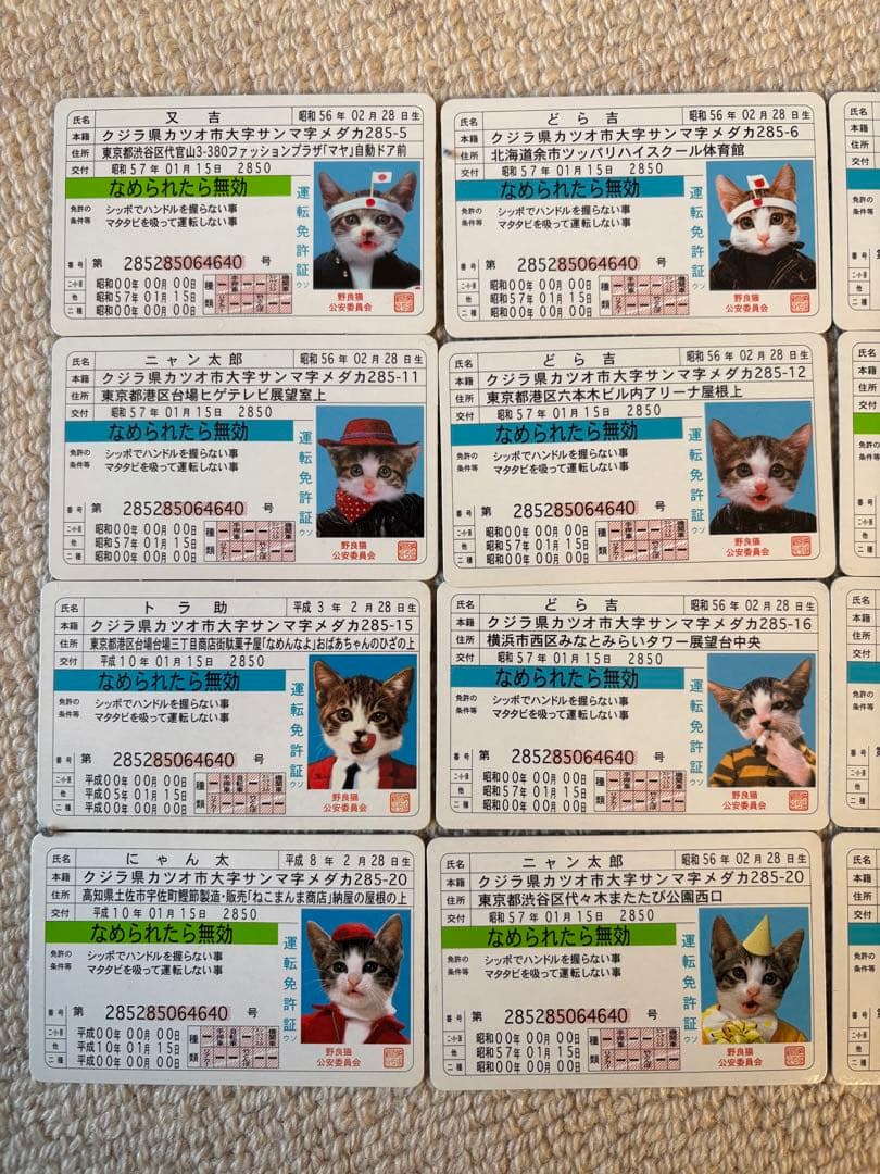 なめ猫免許証カードセット - メルカリ