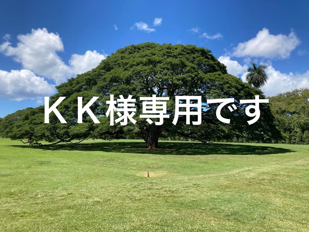 2018年MLBデビュー 大谷翔平 額縁付き直筆サインボール - メルカリ