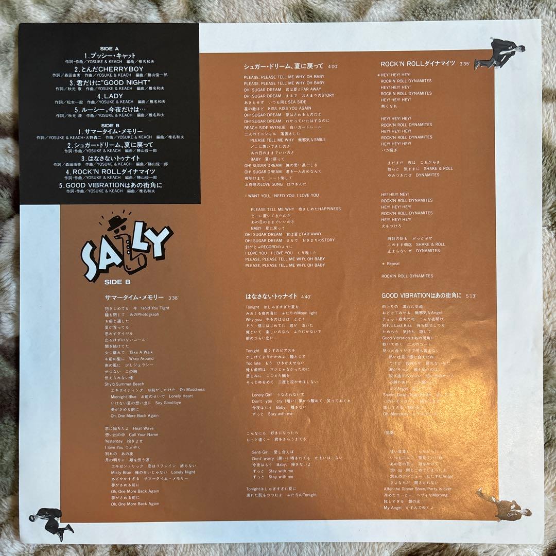 SALLY／サリィ／A! TASTE OF SALLY／杉山洋介／レコード／美盤 - メルカリ