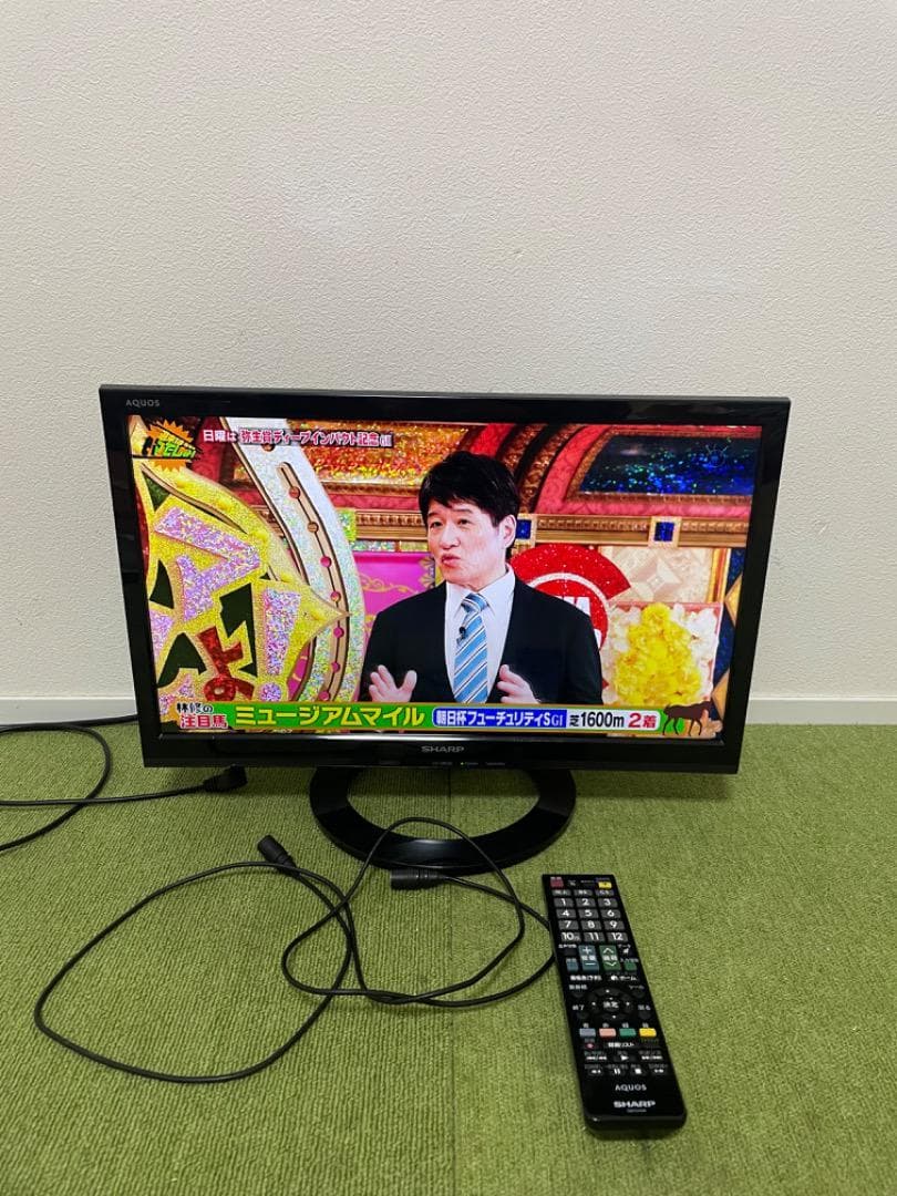 飯島壱子 シャープ 19V型 液晶テレビ ハイビジョン 外付HDD対応