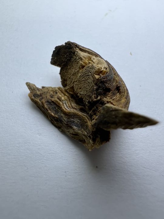 古渡命銘木  御家流名香　伽羅　【まゆずみ】0.173g 香木/お香/沈香/伽羅