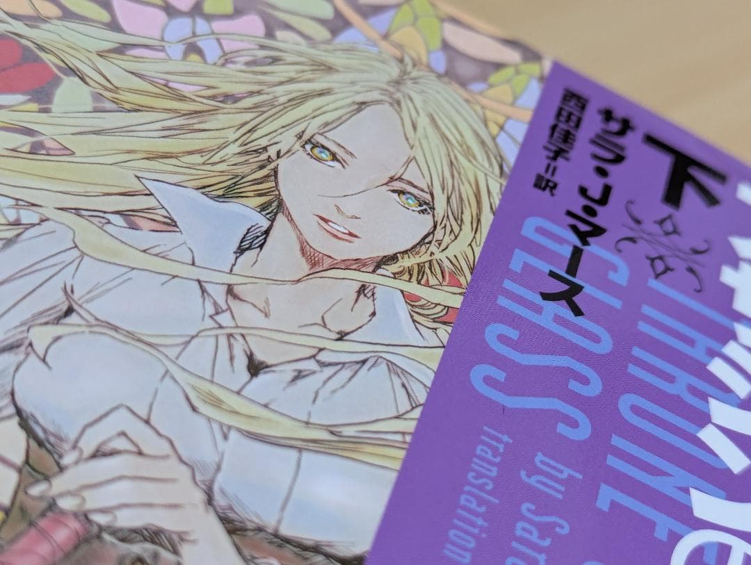 アサシンの王女 上下巻セット