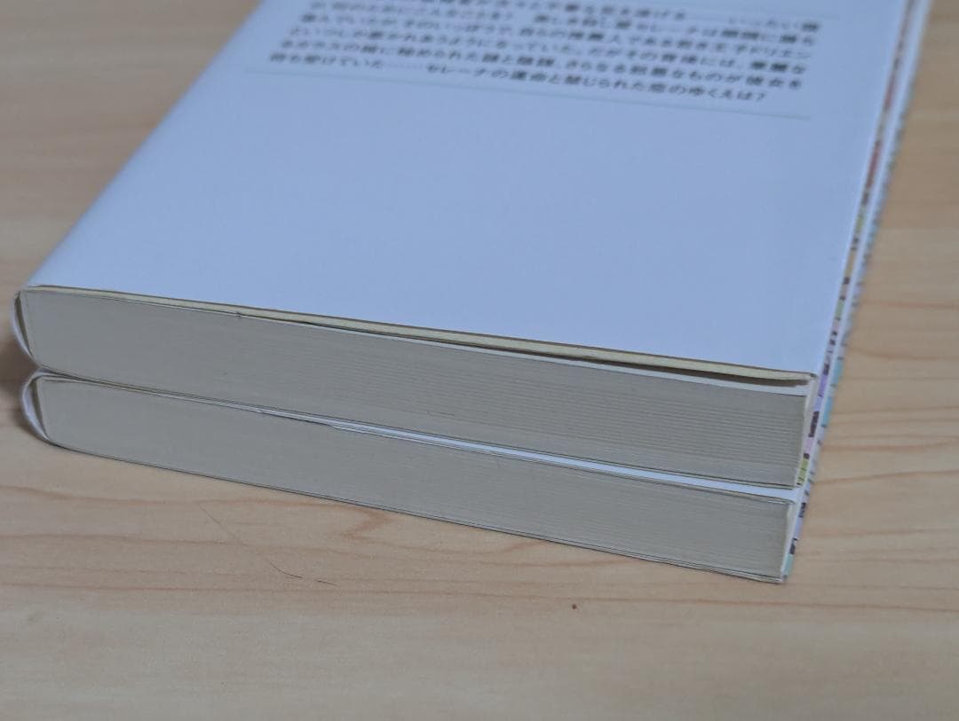 アサシンの王女 上下巻セット