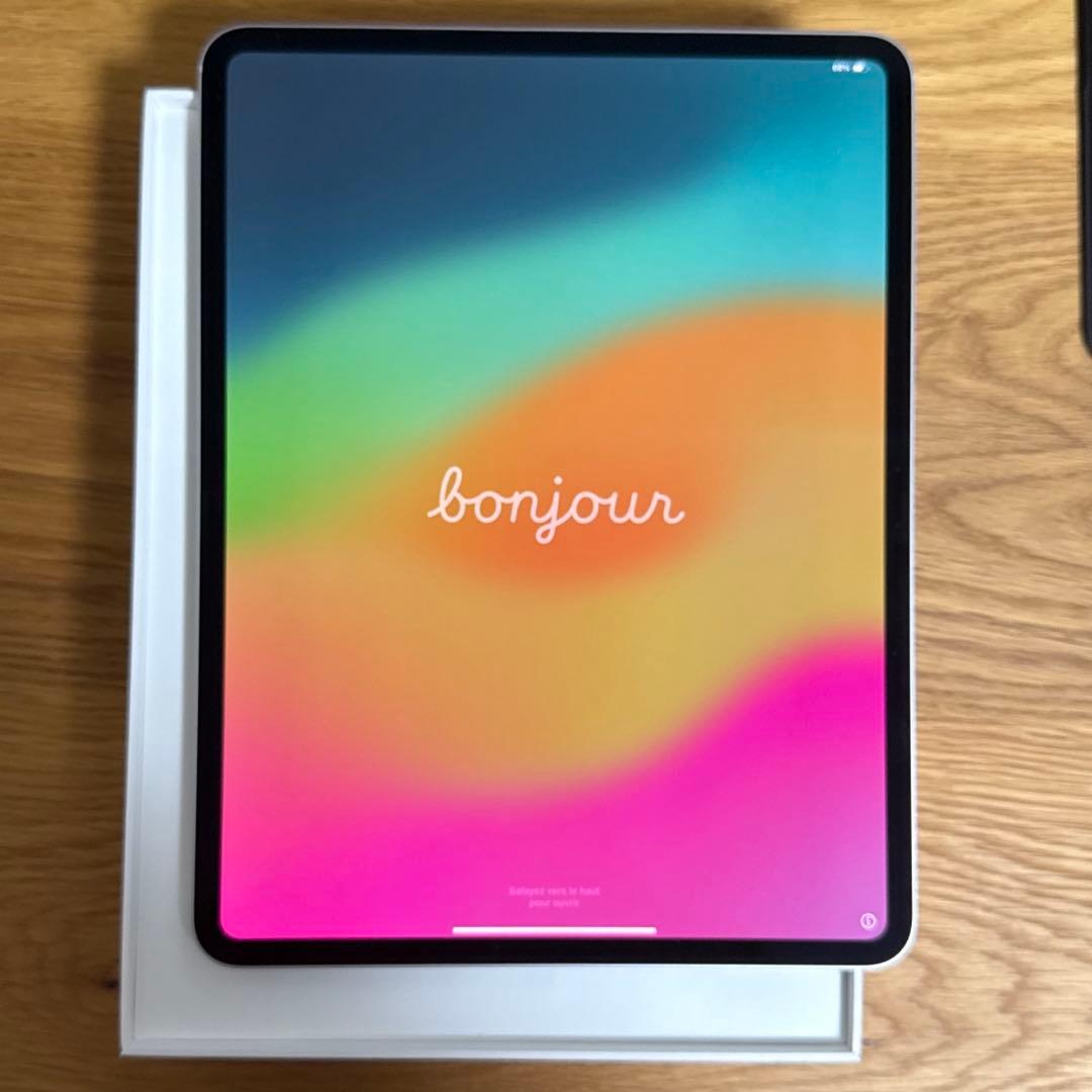 M4 iPad Pro 13.1inch WiFiモデル 256GB