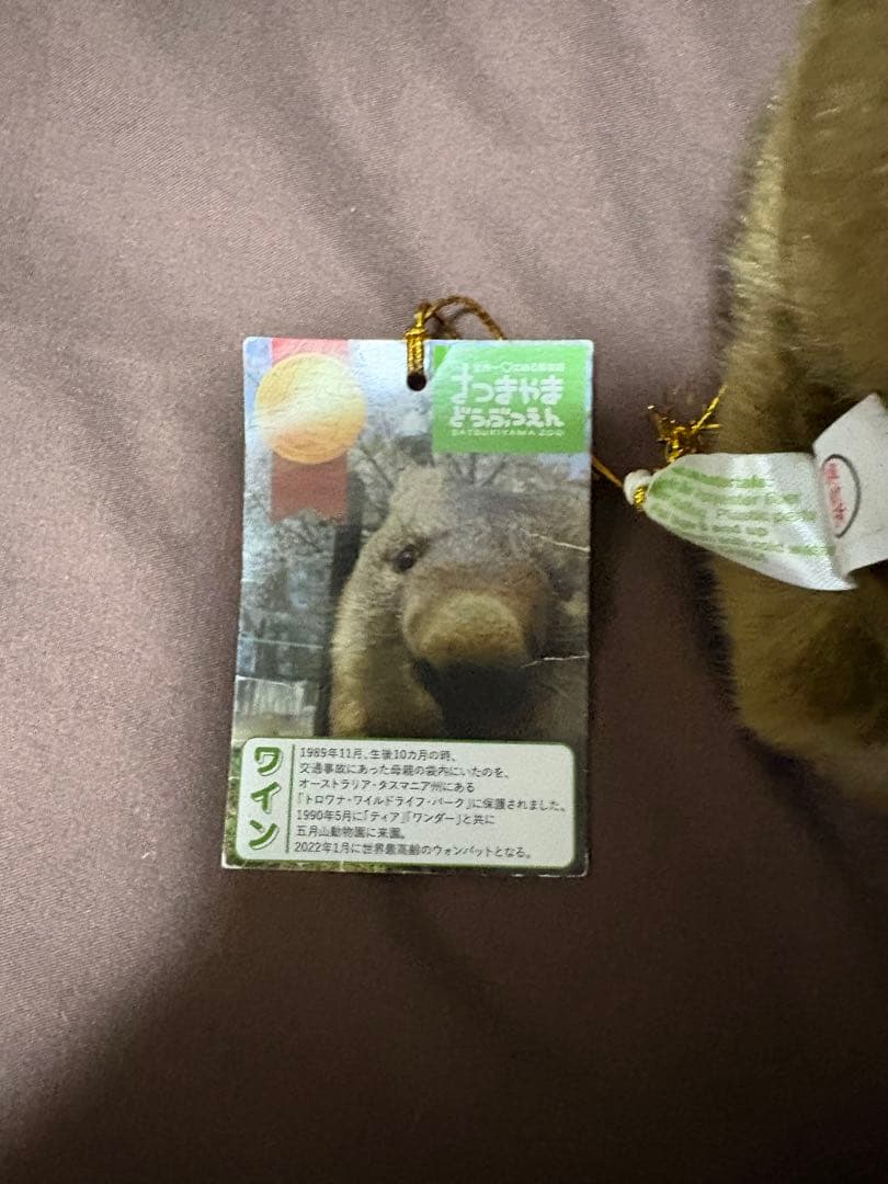 五月山動物園 ウォンバット ぬいぐるみ タグ付き ワイン フク - メルカリ