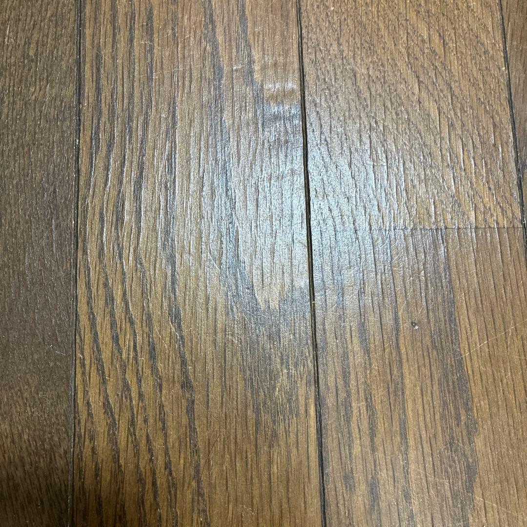 ご注文分　アグラオネマ 園芸ネット本店｜アグラオネマ：サイアム オレンジ 4号鉢入り の通販