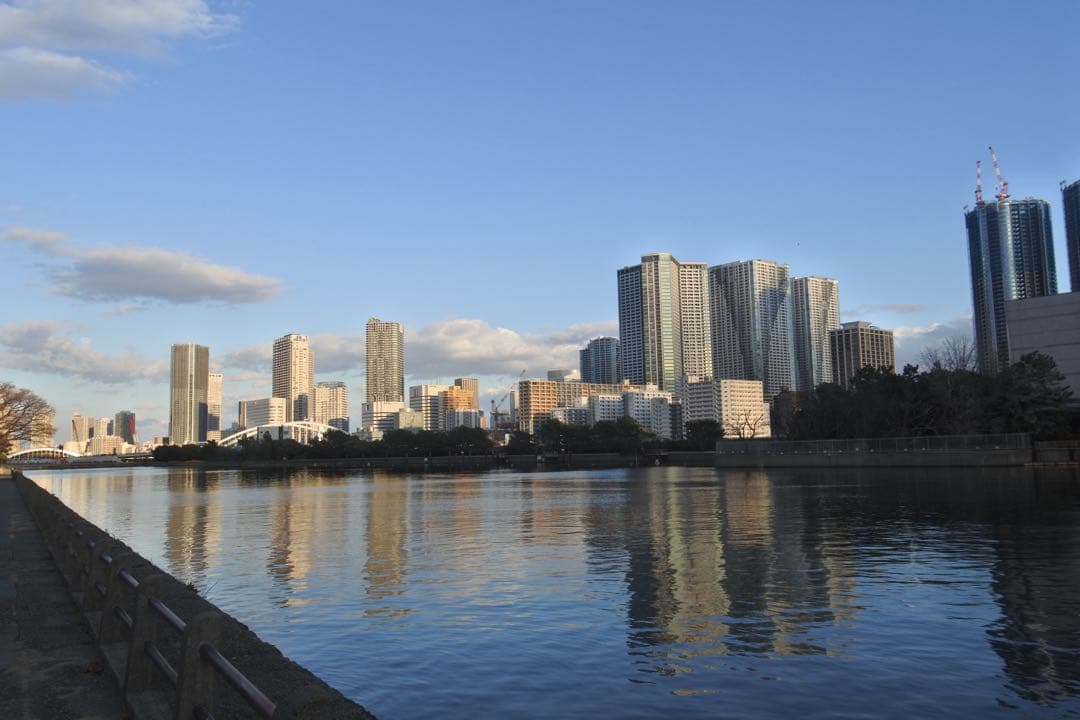 NIKKOR 1 10-30mm f/3.5-5.6 VR【動作品】