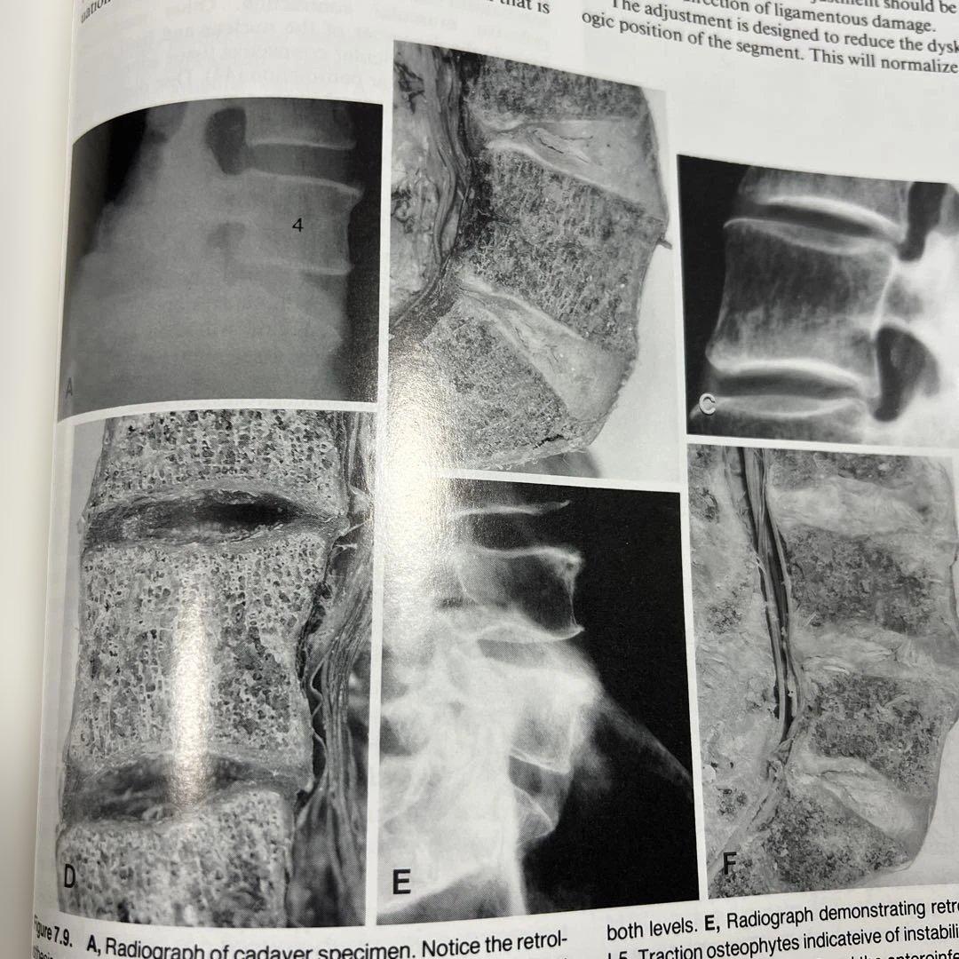 解剖学・神経診察関連書籍セット まとめて4冊 - メルカリ