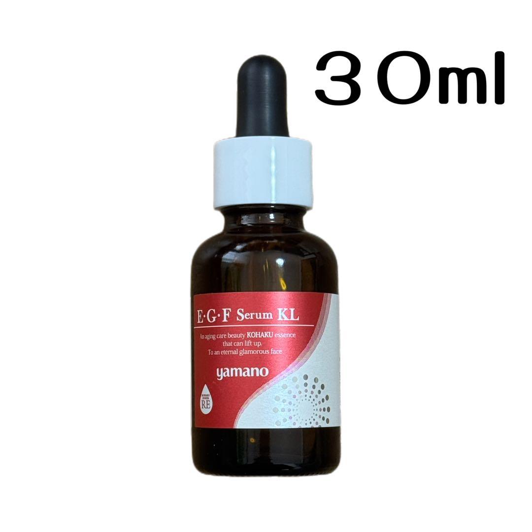 美容液30ml【3個セット】ヤマノ E・G・Fセラム KL 山野愛子 化粧品
