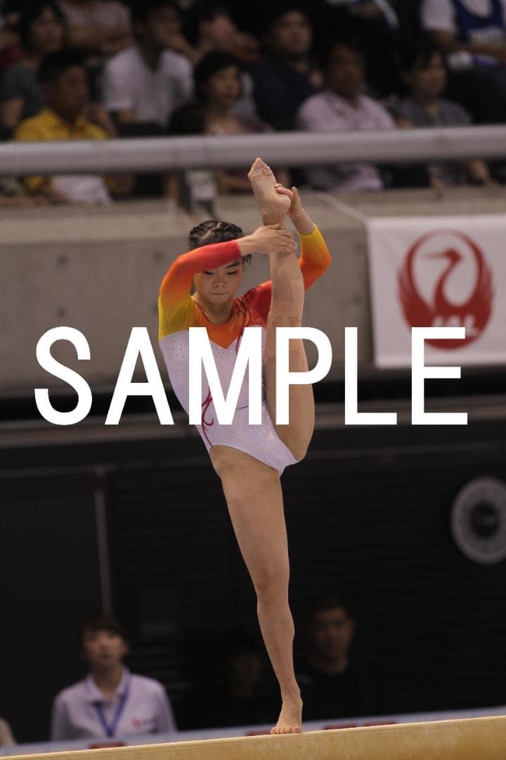 2018年全日本個人別体操 日本女子選手画像集①約11,000枚 - メルカリ
