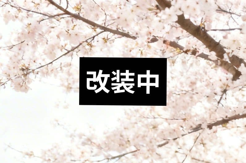 NO474 特選 人気の正倉院文様 正絹黒留袖 正絹長襦袢 フルセット
