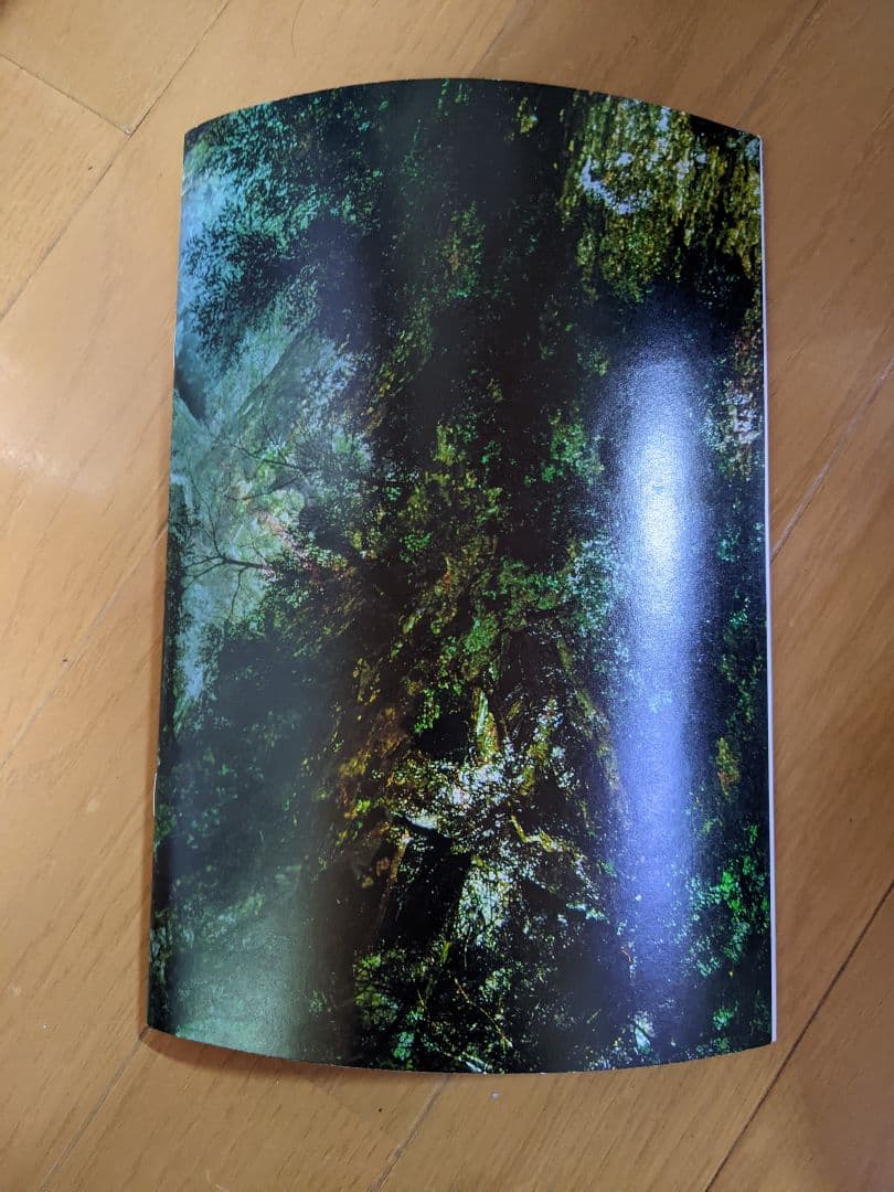 「蟲師」二十景 漆原友紀画集 -蟲襖-