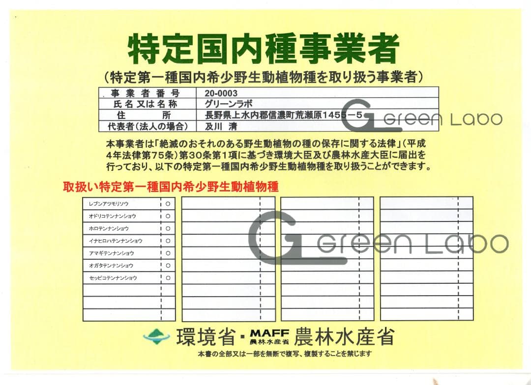 yoranda　 イナヒロハテンナンショウ、セッピコテンナンショウ　球根