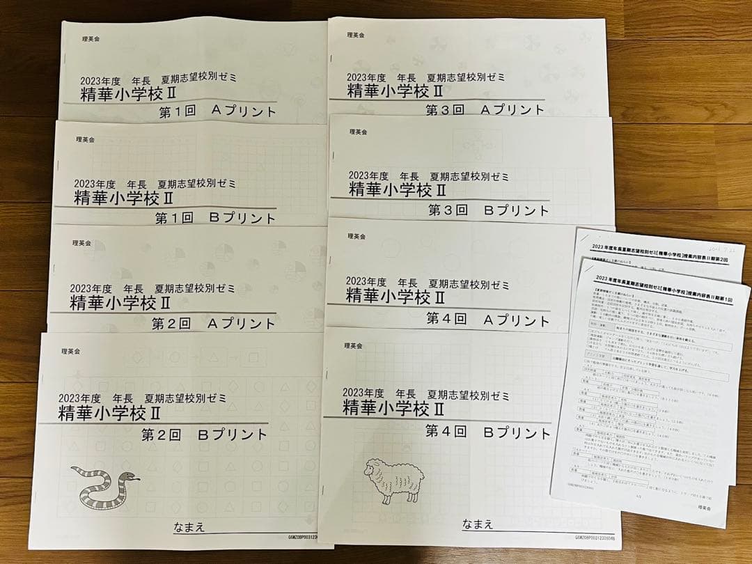理英会 2023年度 年長 夏期志望校別ゼミ 精華小学校 II 第1-4回AB