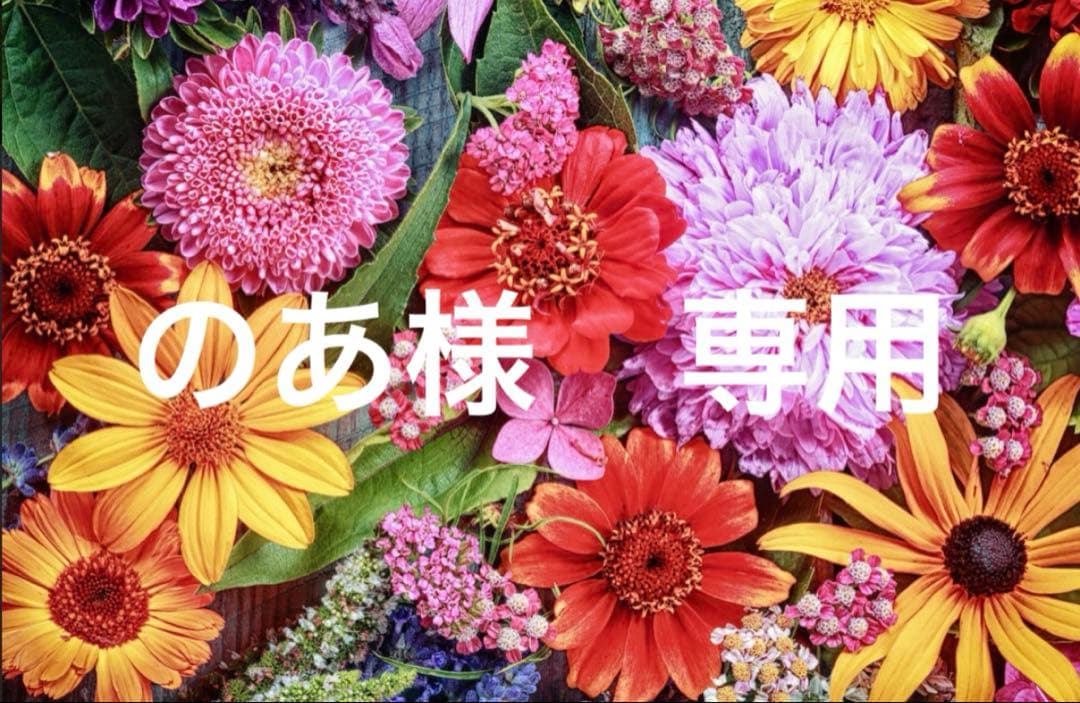 のあ ASICS（アシックス） ASICS/メンズ ランニングシューズ/ゲル カヤノ 31