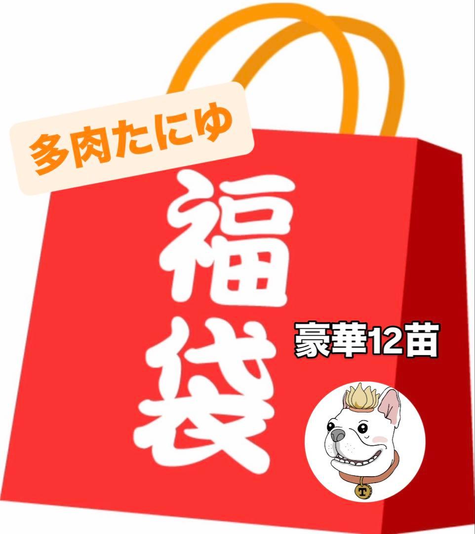 多肉たにゆ福袋　多肉植物 多肉たにゆ福袋 多肉植物 - メルカリ